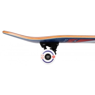 Skate completo Birdhouse  31 x 7.75 IN