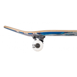 Skate completo Birdhouse Stage 1 Hawk Spiral 7.75''
