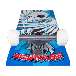 Skate completo Birdhouse Stage 1 Hawk Spiral 7.75''
